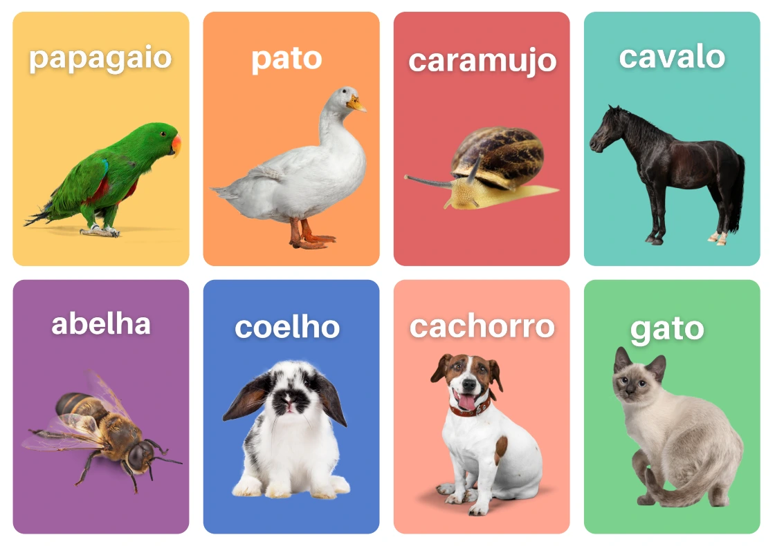 Atividade adaptada de tracejado